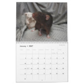 Het is de wereldagenda van een Rat Kalender (Jan 2027)