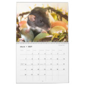 Het is de wereldagenda van een Rat Kalender (Mar 2027)