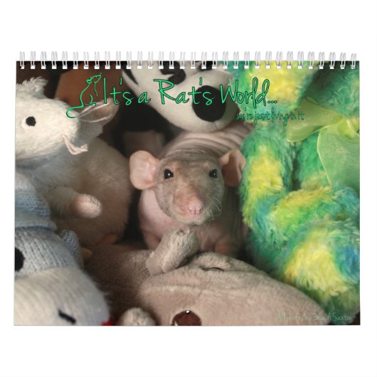 Het is de wereldagenda van een Rat Kalender (Hoes)