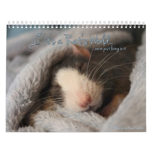 Het is de wereldagenda van een Rat Kalender (Hoes)