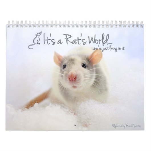 Het is de wereldagenda van een Rat Kalender (Hoes)