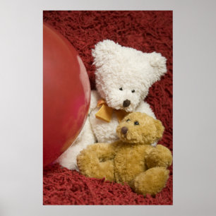 Het is een ballon Ted... poster