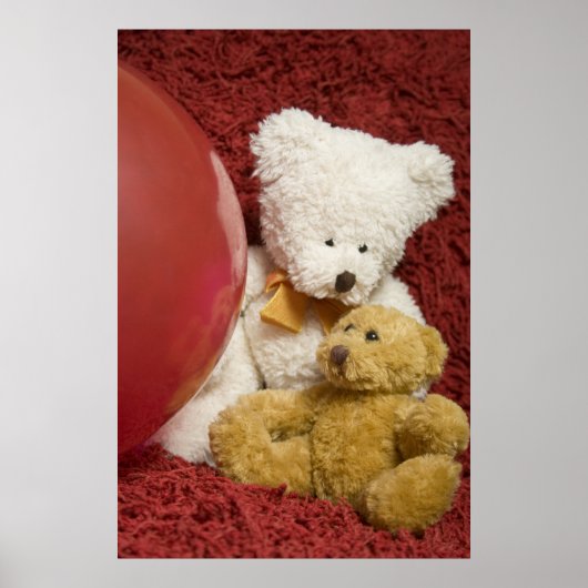 Het is een ballon Ted... poster (Voorkant)