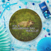 Het is een bord van het wonder van de dag. (Feest)