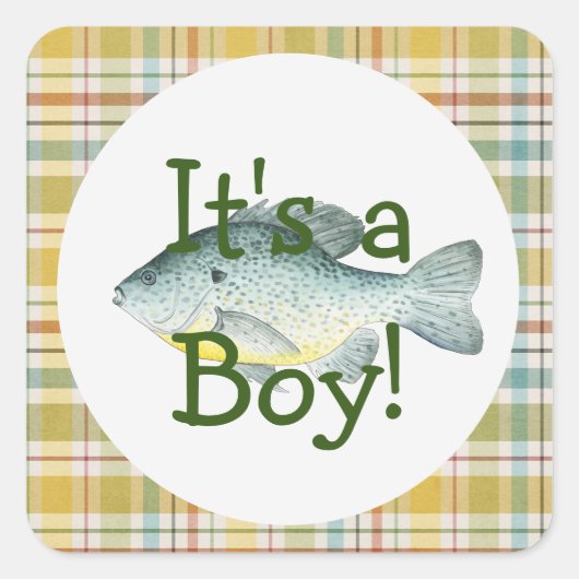 Het is een Boy Gevist Baby showers Sticker (Voorkant)