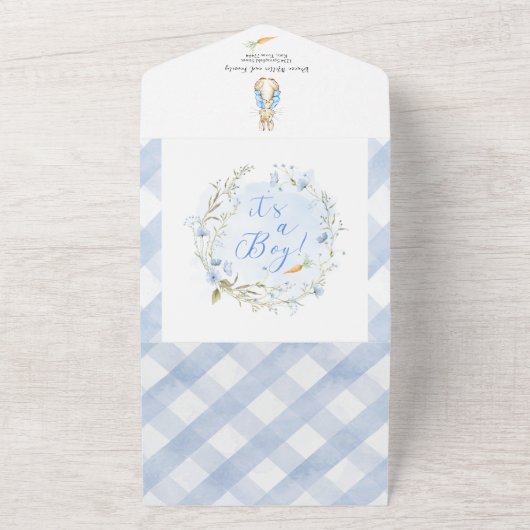Het is een Boy Peter Rabbit Baby shower All In One Uitnodiging (Buitenkant)