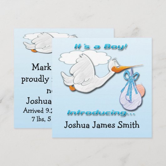 Het is een 'Boy Stork Birth Announcement' Aankondiging (Voorkant / Achterkant)