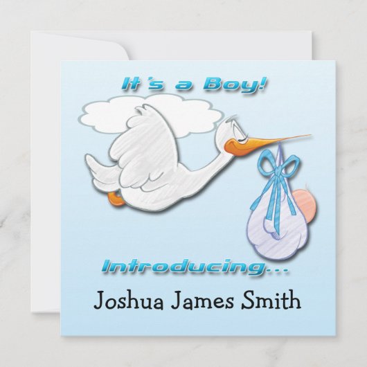 Het is een 'Boy Stork Birth Announcement' Aankondiging (Voorkant)