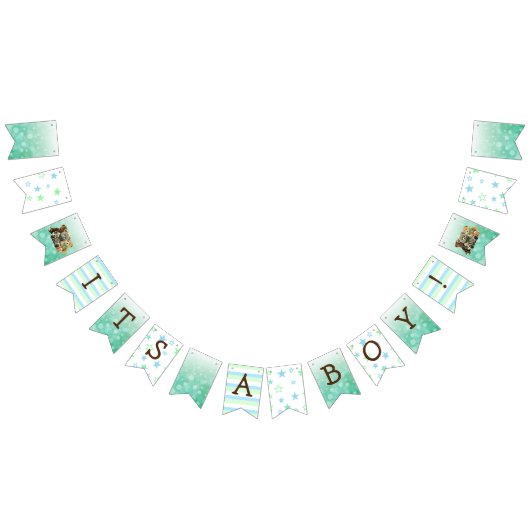 Het is een Boy, Teddy Bear Green Baby shower Vlaggetjes (Alle)