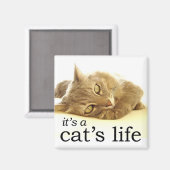 Het is een Cat's Life - Magnet (Voorkant / Achterkant)
