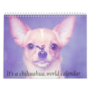Het is een Chhuahua World Calendar Kalender