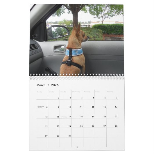 Het is een Chi Thing Chihuahua Calendar Kalender (Mar 2026)