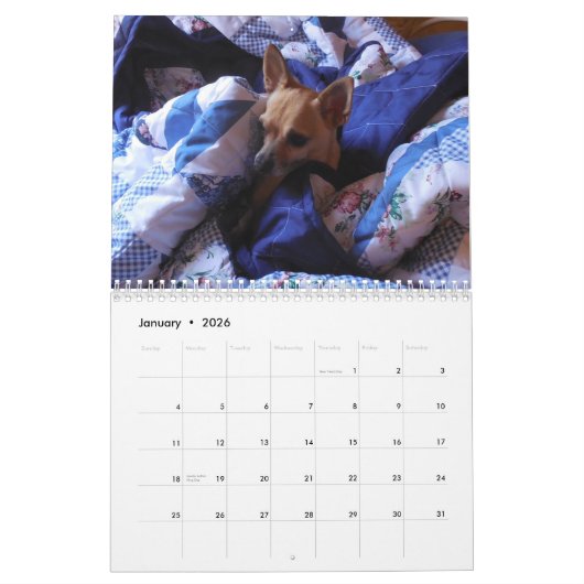 Het is een Chi Thing Chihuahua Calendar Kalender (Jan 2026)