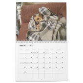 Het is een Chi Thing Chihuahua Calendar Kalender (Feb 2027)