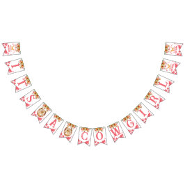 Het is een Cowgirl baby shower paardjes roze Vlaggetjes