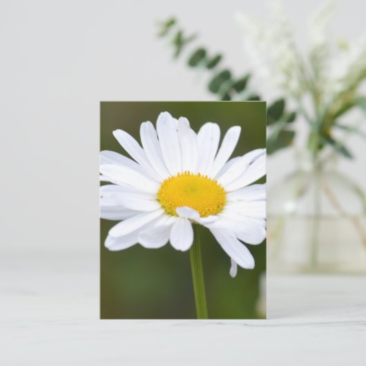 Het is een Daisy Briefkaart (Staand voorkant)