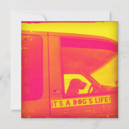 Het is een Dog's Life Wenskaart Kaart