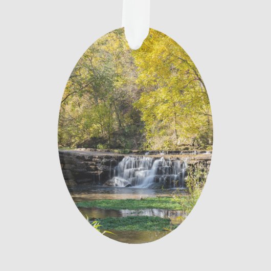 Het is een Dogwood-waterval Ornament (achterkant)