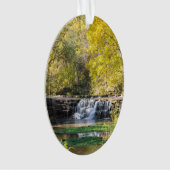 Het is een Dogwood-waterval Ornament (voorkant)