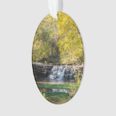Het is een Dogwood-waterval Ornament (voorkant)