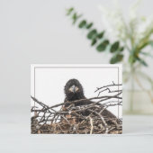 Het is een grote nieuwe wereld briefkaart (Staand voorkant)