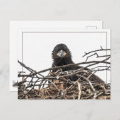 Het is een grote nieuwe wereld briefkaart (Voorkant / Achterkant)