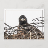 Het is een grote nieuwe wereld briefkaart (Voorkant)