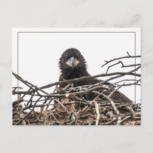 Het is een grote nieuwe wereld briefkaart (Voorkant)