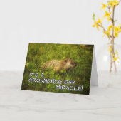 Het is een groundhog day miracle! wenskaart kaart (Gele Bloem)