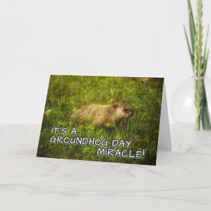 Het is een groundhog day miracle! wenskaart kaart