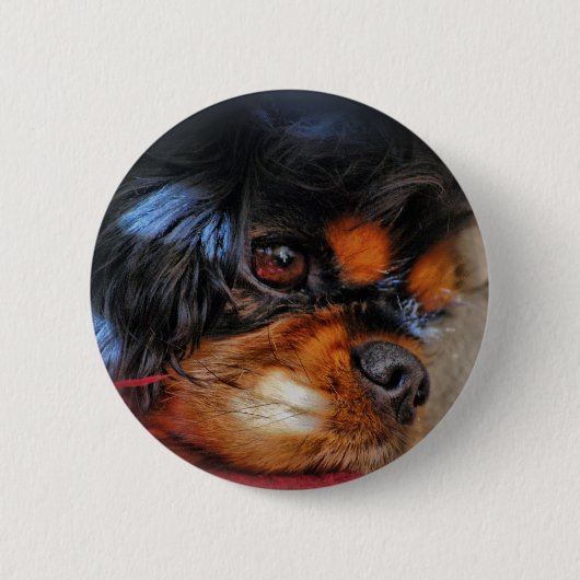 HET IS EEN HARDE LEVEN....... RONDE BUTTON 5,7 CM (Voorkant)