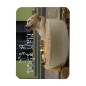 Het is een honden-zwemmagneet magneet (Verticaal)