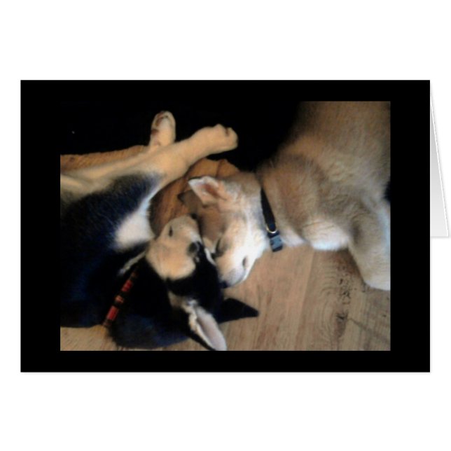 Het is een hondenleven (Voorkant Horizontaal)