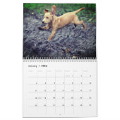 Het is een hondenleven, hond van de maandkalender kalender (Jan 2026)
