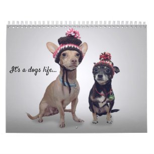 Het is een hondenleven, hond van de maandkalender kalender