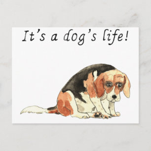 Het is een hondenleven Leuk Cute Beagle Hond Kunst Briefkaart