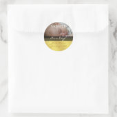 Het is een jongen, foto stickers geboorte aankondi (Tas)