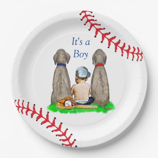Het is een jongen, het Baby shower van de Baseball Papieren Bordje (Voorkant)