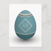 het is een jongen ooi van een ooievaar aankondigingskaart (Voorkant)