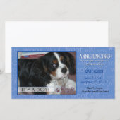 Het is een jongen - Pet-fotokaart Aankondiging (Voorkant / Achterkant)