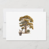 Het is een Jongen Safari Baby shower Uitnodiging (Achterkant)