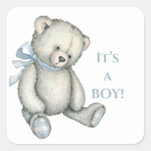 Het is een JONGEN Vintage Rustieke Blauwe Teddibee Vierkante Sticker