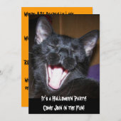 Het is een Kat Uitnodiging van een Halloween Party (Voorkant / Achterkant)