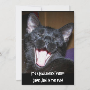 Het is een Kat Uitnodiging van een Halloween Party