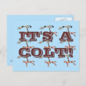 HET IS EEN KLOT! BRIEFKAART (Voorkant / Achterkant)