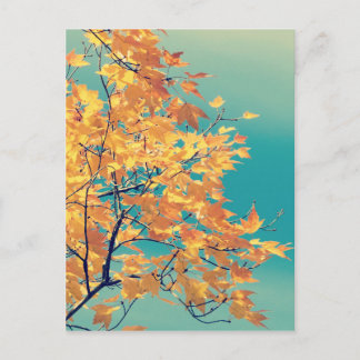 Het is een Leaf Thing 1 Briefkaart