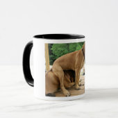 Het is een "Mastiff" ding! Engelse Mastiff-foto Mok (Voorkant links)