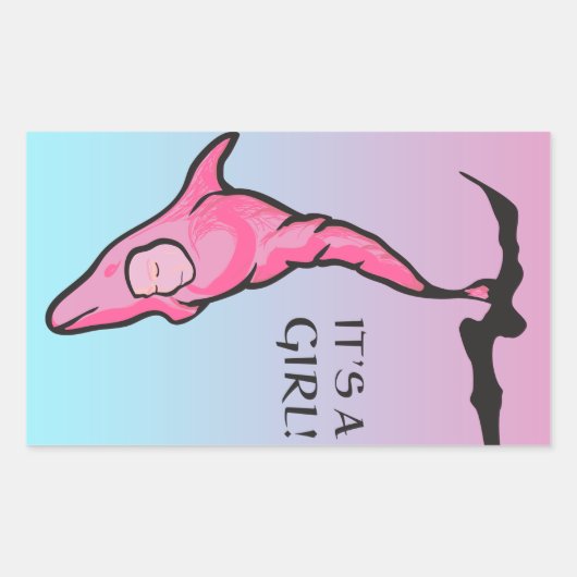 Het is een meisje! (dolfijnencoon) rechthoekige sticker (Voorkant)
