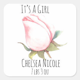 Het is een meisjesenvelopzegel vierkante sticker