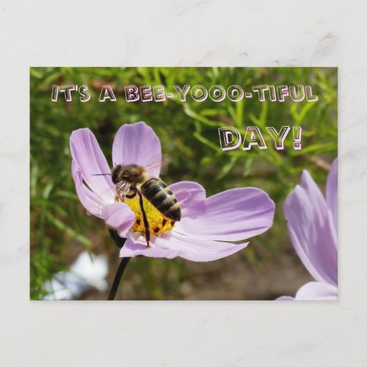 Het is een mooie dag voor de bijen! / Bee Poscard Briefkaart (Voorkant)